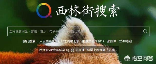 资源搜索引擎（资源搜索引擎哪个最好）