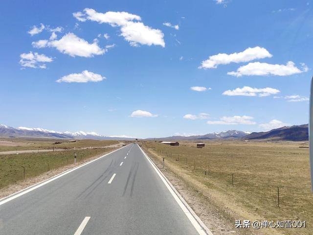 我死后所有人都重生了（我死后所有人都重生了 小说）