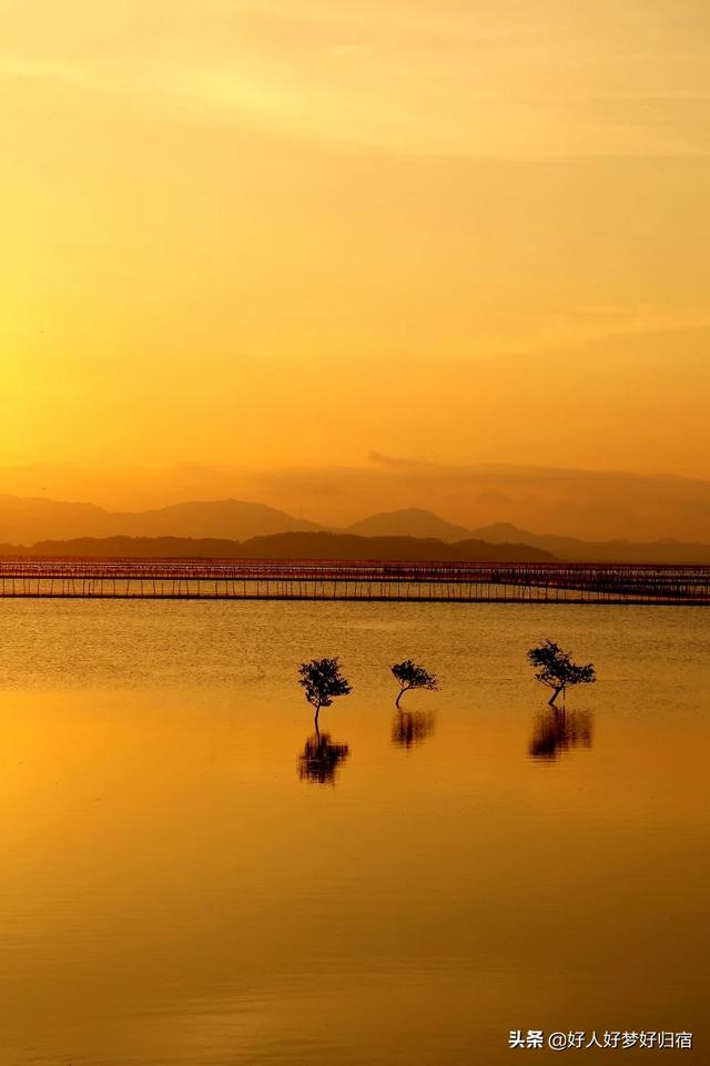 乱浮生（乱浮生by行魅txt百度网盘）